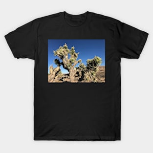 Joshua Trees T-Shirt